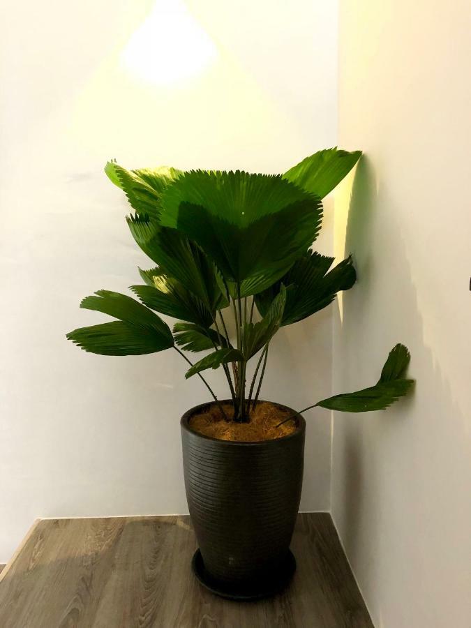 Apartament Minimalist Duplex @ Petaling Jaya & Sunway Zewnętrze zdjęcie
